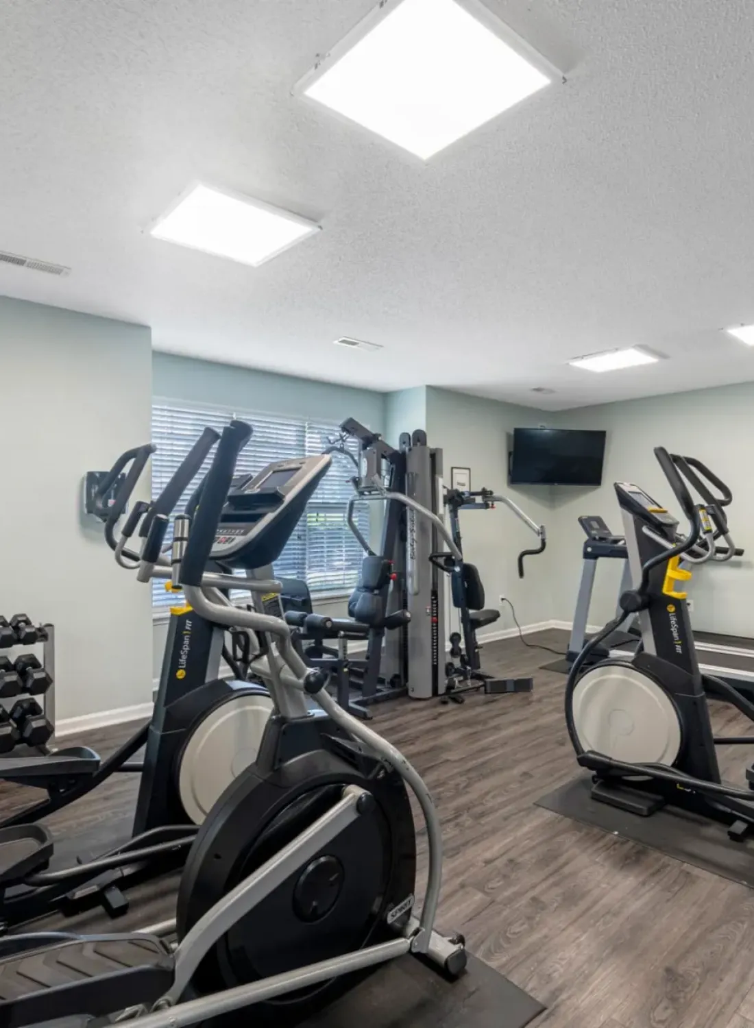 Fitness room with elliptical machines, free weights, a rowing machine, and strength training equipment.